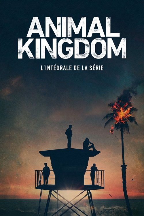 Animal Kingdom streaming gratuit vf vostfr 